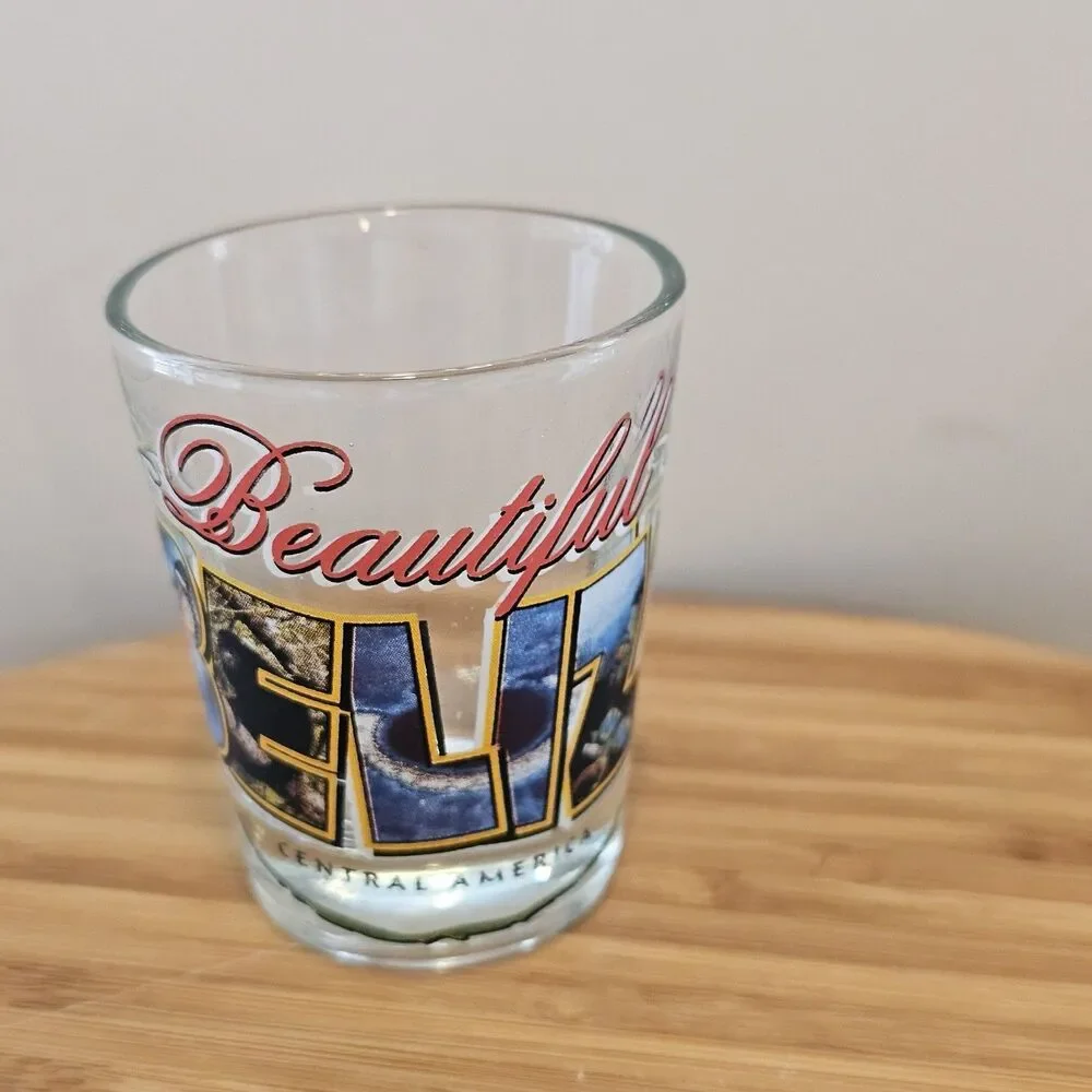 5 Shot Glasses, Rome, Belize, Floral, Florida, Dumb One ;)